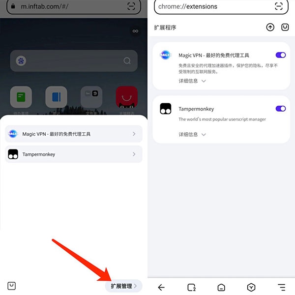 狐猴浏览器app